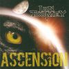 IAN TOOMEY - Ascension