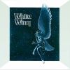 WHITEWING - Whitewing