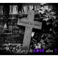 IS LOVE ALIVE? - Second To None
